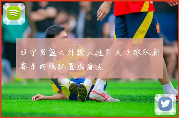 辽宁男篮大外援人选引关注球队新赛季内线配置成看点