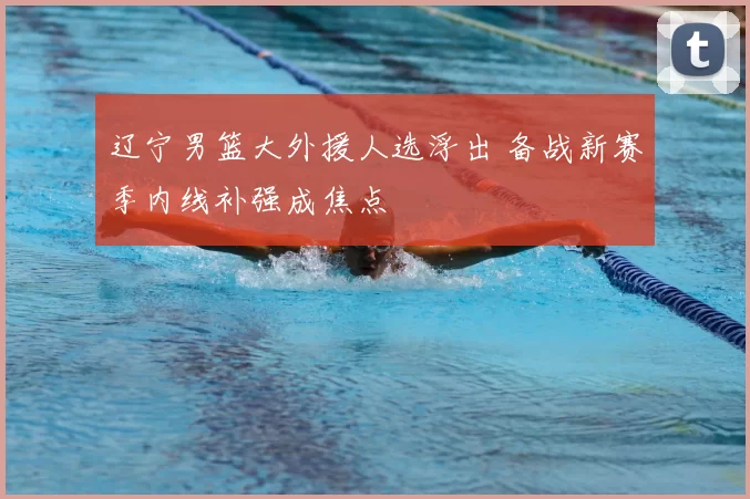 辽宁男篮大外援人选浮出 备战新赛季内线补强成焦点