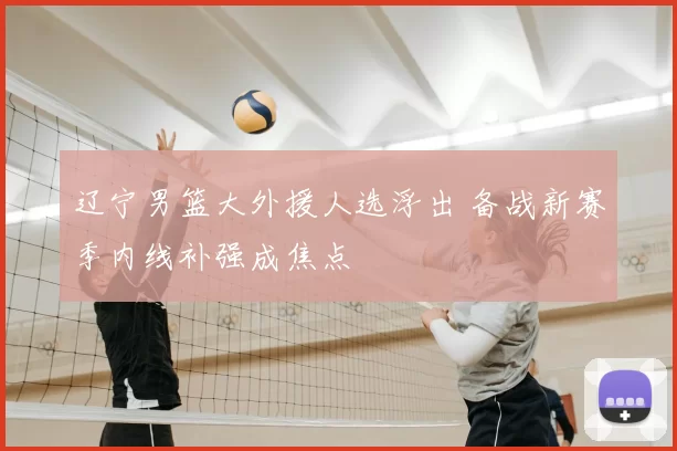 辽宁男篮大外援人选浮出 备战新赛季内线补强成焦点