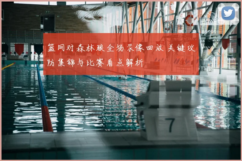 篮网对森林狼全场录像回放 关键攻防集锦与比赛看点解析