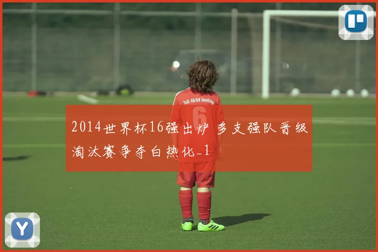 2014世界杯16强出炉 多支强队晋级淘汰赛争夺白热化_1