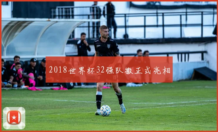 2018世界杯32强队徽正式亮相